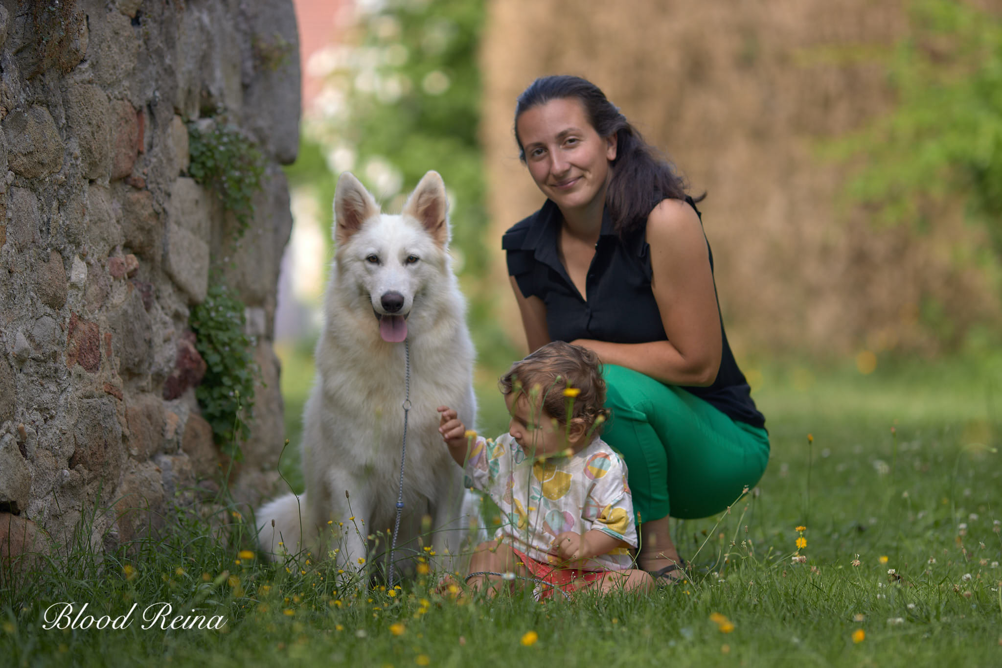 Maman STORIA - portée STORIA X LOKI (2026) - Berger Blanc Suisse